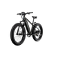 XPeak2 High-Step eBike