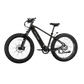 XPeak2 High-Step eBike