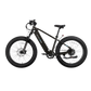 XPeak2 High-Step Long-Range eBike