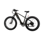 XPeak2 High-Step Long-Range eBike