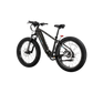 XPeak2 High-Step eBike