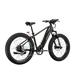 XPeak2 High-Step eBike