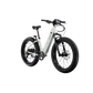 XPeak2 Step-Thru Long-Range eBike