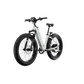 XPeak2 Step-Thru eBike