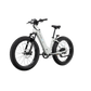 XPeak2 Step-Thru eBike
