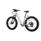 XPeak2 Step-Thru Long-Range eBike