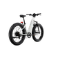XPeak2 Step-Thru Long-Range eBike