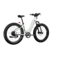 XPeak2 Step-Thru Long-Range eBike