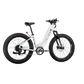 XPeak2 Step-Thru eBike
