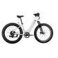 XPeak2 Step-Thru Long-Range eBike