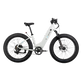 XPeak2 Step-Thru eBike