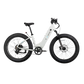 XPeak2 Step-Thru Long-Range eBike