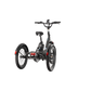 XP Trike2 Tempest Grey eTrike