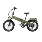 XP4 750 Pine Green eBike
