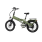 XP4 750 Pine Green eBike