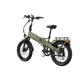XP4 750 Pine Green eBike