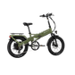 XP4 750 Pine Green eBike