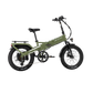 XP4 750 Pine Green eBike