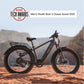 XPeak2 High-Step Long-Range eBike