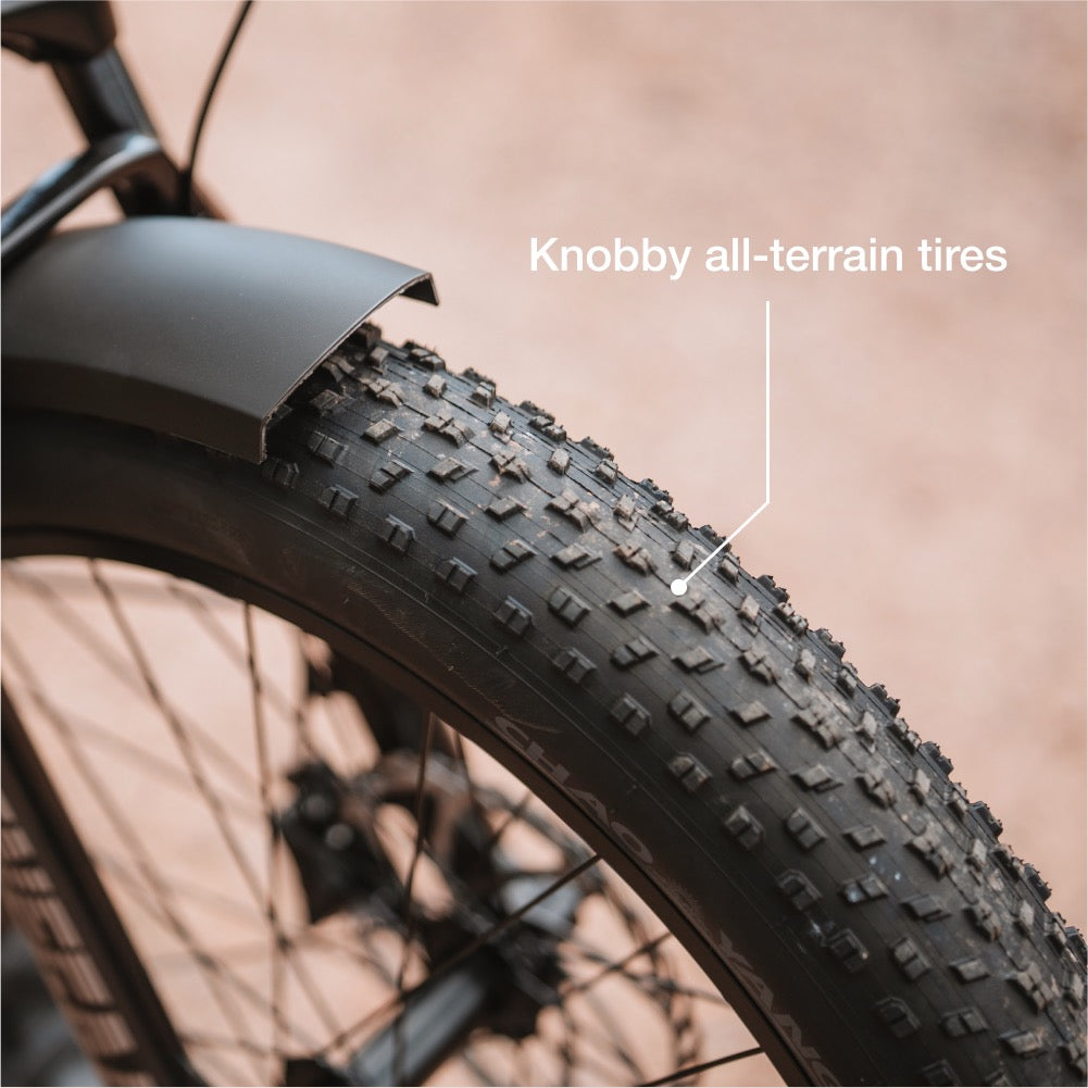 XPeak2 High-Step Long-Range eBike