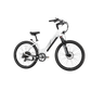 XPress Step-Thru eBike