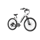 XPress 750 Step-Thru eBike