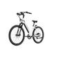 XPress Step-Thru eBike