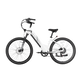 XPress Step-Thru eBike