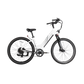 XPress Step-Thru eBike