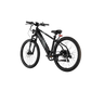 XPress 750 High-Step eBike