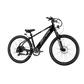 XPress 750 High-Step eBike