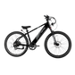 XPress 750 High-Step eBike