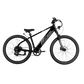 XPress 750 High-Step eBike