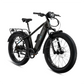 XPeak2 High-Step Long-Range eBike