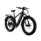 XPeak2 High-Step eBike