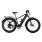 XPeak2 High-Step eBike