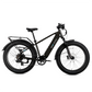 XPeak2 High-Step Long-Range eBike