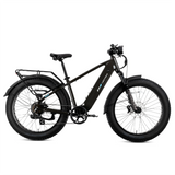 XPeak2 High-Step eBike