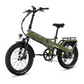 XP4 750 Pine Green eBike