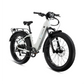 XPeak2 Step-Thru eBike
